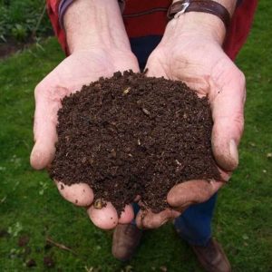 Top Soil